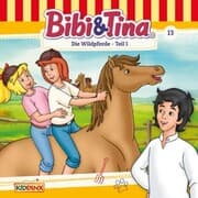 Cover von Die Wildpferde, Teil 1