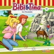 Cover von Der Pferdedieb