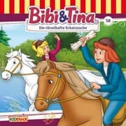 Cover von Die rätselhafte Schatzsuche