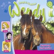 Cover von Angst um Lindenhöhe
