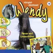 Cover von Feuer auf Lindenhöhe