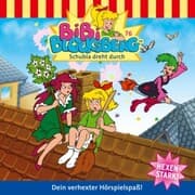 Cover von Schubia dreht durch