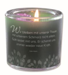 Cover von Licht der Erinnerung