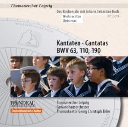 Cover von Kantaten BWV 63,110,190