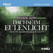 Cover von Dachse Im Eulenlicht Oder Die Suche Des Peter Talion