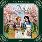 Cover von Anne auf Green Gables, Folge 3: Jede Menge Missgeschicke