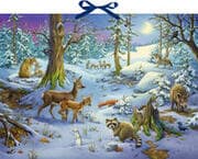 Cover von Hört ihr die Tiere im Winterwald?