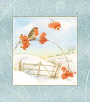 Cover von Wintermorgen mit Rotkehlchen