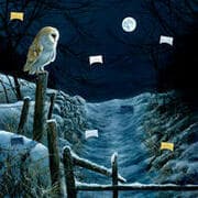 Cover von Zettel-Adventskalender - Magie und Mythos der Winter-Weihnacht