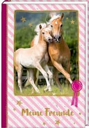 Cover von Meine Freunde - Stute mit Fohlen