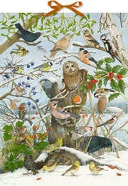 Cover von Unsere Vögel im Winter - Sound-Adventskalender