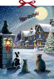 Cover von Katzen-Weihnacht