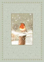 Cover von Marjoleins Rotkehlchen - A4-Wandkalender
