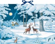 Cover von Wintertiere bei Nacht