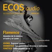 Cover von Spanisch lernen Audio - Flamenco