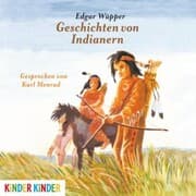 Cover von Geschichten von Indianern