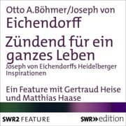 Cover von Zündend für ein ganzes Leben