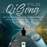 Cover von Stilles Qi Gong 