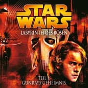 Cover von Labyrinth des Bösen - Teil 1: Gunrays Geheimnis