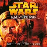 Cover von Labyrinth des Bösen - Teil 2: Darth Sidious auf der Spur