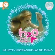 Cover von 02: Im Netz / Übernachtung bei Emma