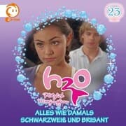 Cover von 23: Alles wie damals / Schwarzweiß und brisant