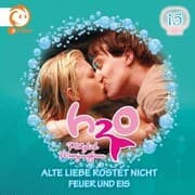 Cover von 15: Alte Liebe rostet nicht / Feuer und Eis