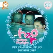 Cover von 20: Der Campingausflug / Der neue Chef