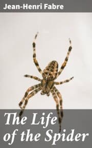 Cover von The Life of the Spider