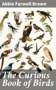Cover von The Curious Book of Birds