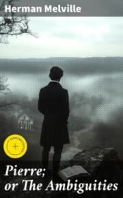 Cover von Pierre; or The Ambiguities
