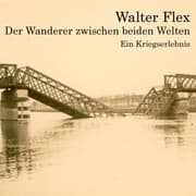 Cover von Der Wanderer zwischen beiden Welten
