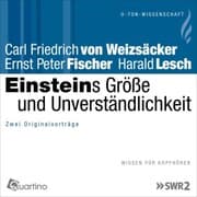 Cover von Einsteins Größe und Unverständlichkeit