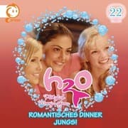 Cover von 22: Romantisches Dinner / Jungs!