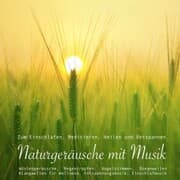 Cover von Entspannungsmusik: Naturgeräusche / Naturklänge mit traumhafter Musik zum Meditieren, Heilen und Relaxen