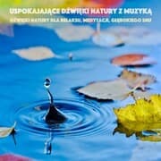 Cover von Uspokajajace Dzwieki Natury z Muzyka: Dzwieki natury dla relaksu, medytacji, glebokiego snu