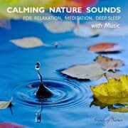 Cover von Calming Nature Sounds With Music: Sounds of Nature for Relaxation, Meditation, Deep Sleep