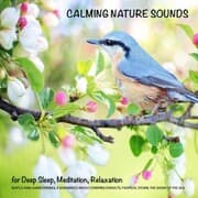 Cover von Calming Nature Sounds (without music) for Deep Sleep, Meditation, Relaxation