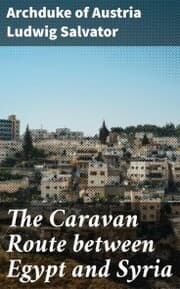 Cover von The Caravan Route between Egypt and Syria
