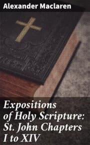 Cover von Expositions of Holy Scripture: St. John Chapters I to XIV
