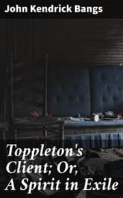 Cover von Toppleton's Client; Or, A Spirit in Exile