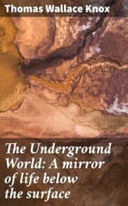 Cover von The Underground World: A mirror of life below the surface
