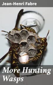 Cover von More Hunting Wasps