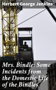 Cover von Mrs. Bindle: Some Incidents from the Domestic Life of the Bindles