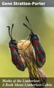 Cover von Moths of the Limberlost: A Book About Limberlost Cabin