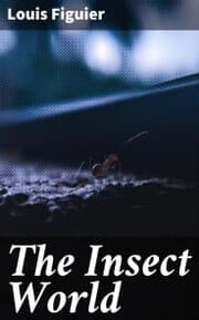 Cover von The Insect World