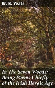 Cover von In The Seven Woods: Being Poems Chiefly of the Irish Heroic Age