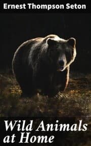 Cover von Wild Animals at Home