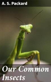 Cover von Our Common Insects
