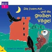 Cover von 11: Die 3 vom Ast und die großen Vögel